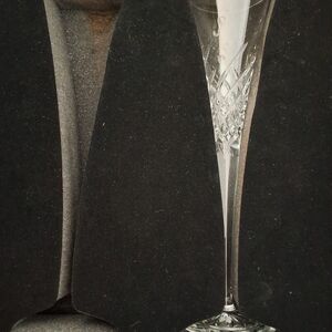 Waterford Wishez Happy Celebations Toasting Flute 11"